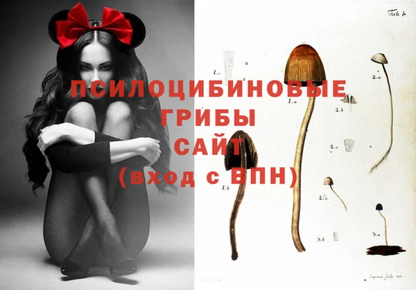 мескалин Арсеньев