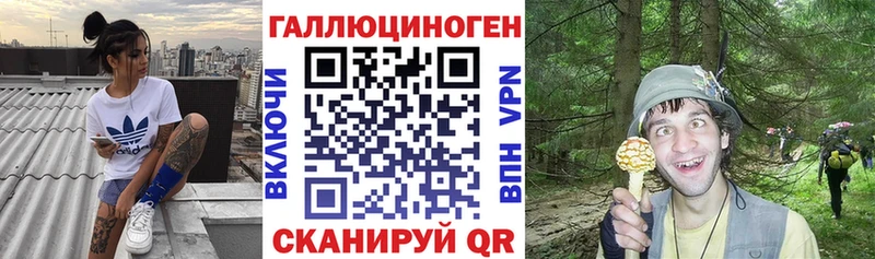 закладка  Краснотурьинск  Галлюциногенные грибы Psilocybe 